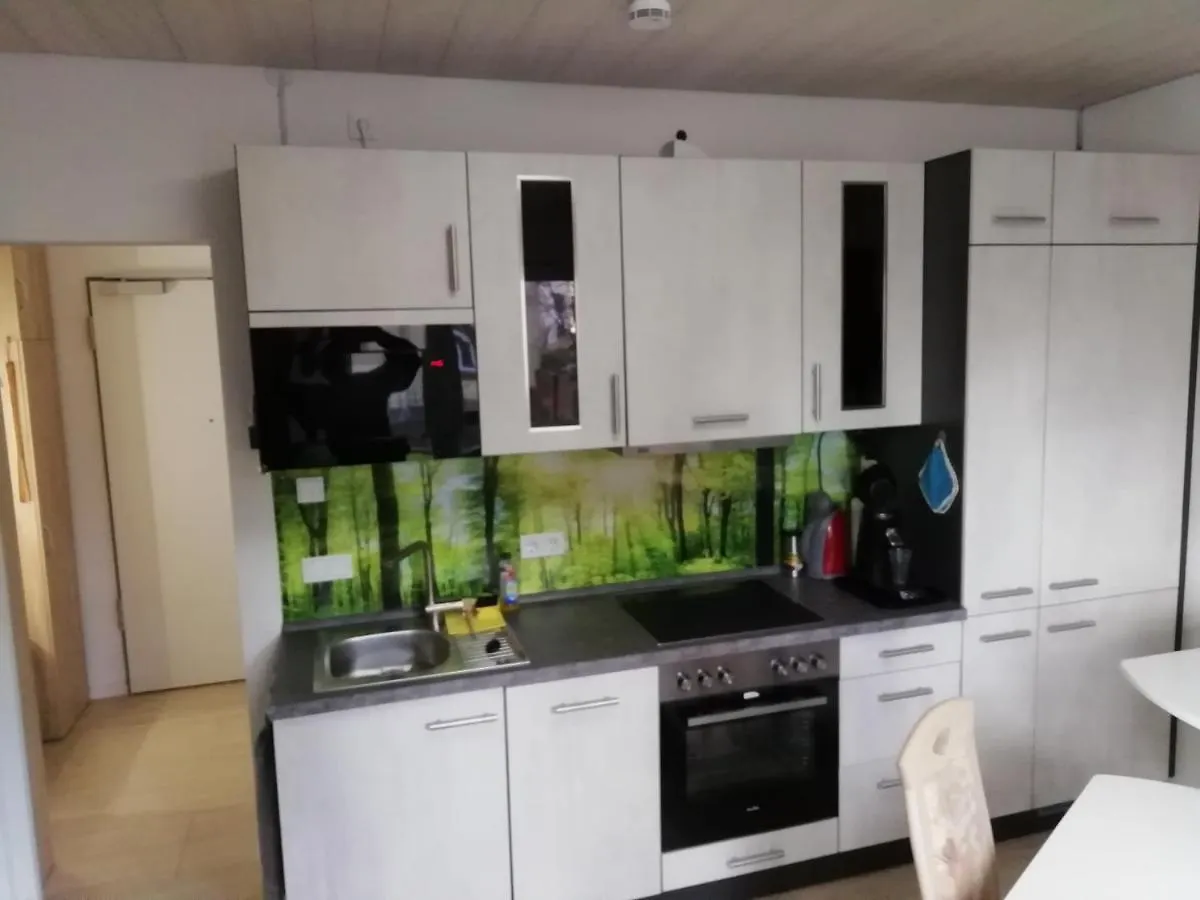 Apartment Ferienwohnung Woelfel